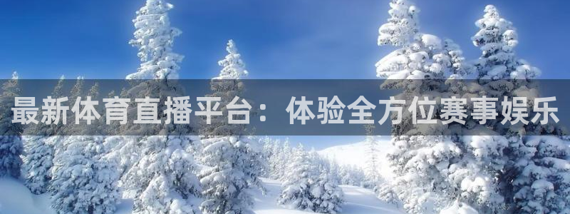 山猫足球直播雨燕直播：最新体育直播平台：体验全方位赛事娱乐