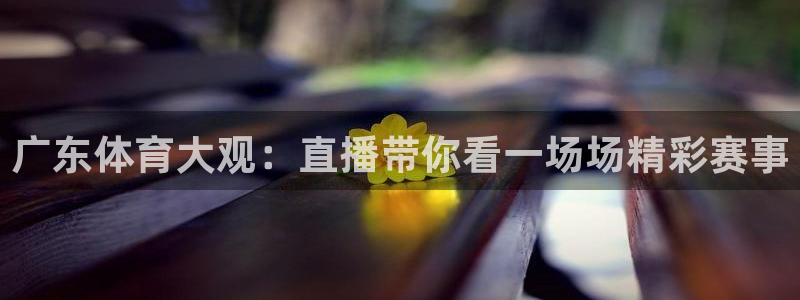 山猫体育赛事直播免费观看视频在线：广东体育大观：直播带你看一场场精彩赛事