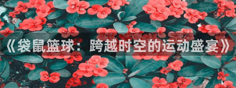 山猫体育平台：《袋鼠篮球：跨越时空的运动盛宴》
