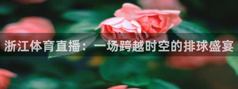 山猫体育免费直播亚冠：浙江体育直播：一场跨越时空的排球盛宴