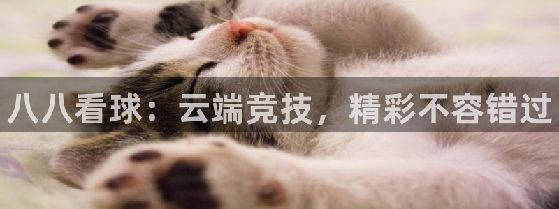 山猫直播体育官网：八八看球：云端竞技，精彩不容错过