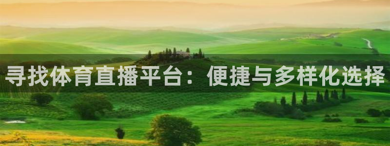 山猫足球直播在线直播观看：寻找体育直播平台：便捷与多样化选择