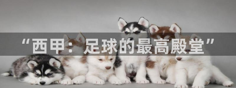 山猫免费nba直播视频直播：“西甲：足球的最高殿堂”