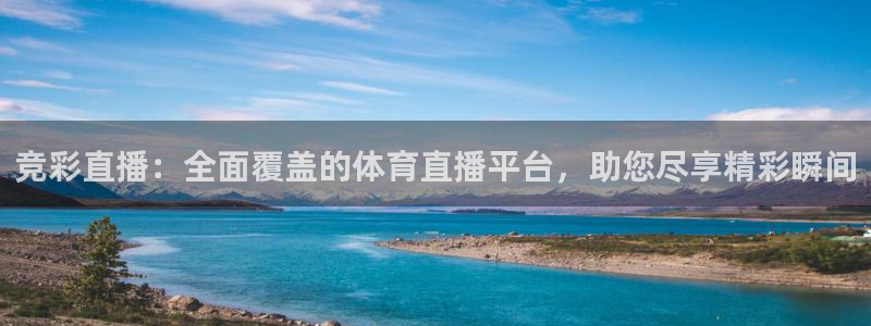 山猫体育nba比赛直播：竞彩直播：全面覆盖的体育直播平台，助您尽享精彩瞬间