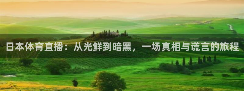 山猫体育赛事直播官网：日本体育直播：从光鲜到暗黑，一场真相与谎言的旅程