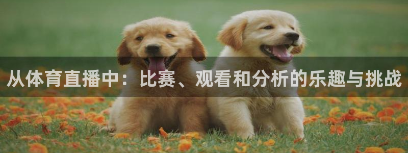 山猫足球免费直播：从体育直播中：比赛、观看和分析的乐趣与挑战