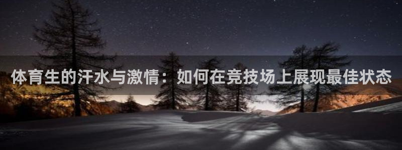 篮球直播山猫：体育生的汗水与激情：如何在竞技场上展现最佳状态