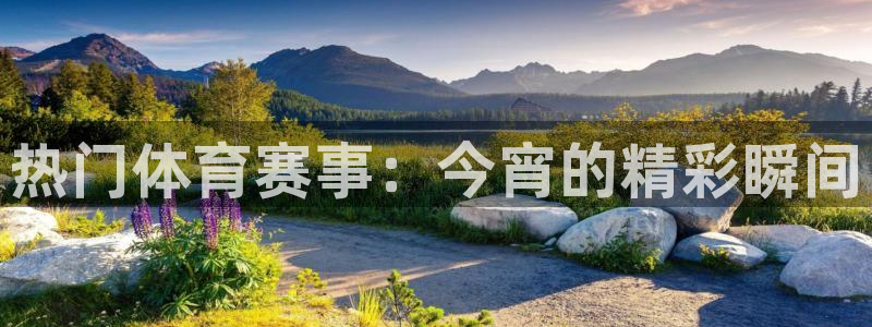 山猫体育免费赛事直播最新：热门体育赛事：今宵的精彩瞬间
