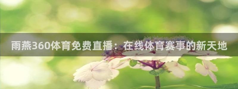 山猫篮球体育直播：雨燕360体育免费直播：在线体育赛事的新天地
