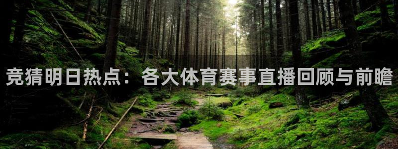 山猫直播体育足球：竞猜明日热点：各大体育赛事直播回顾与前瞻