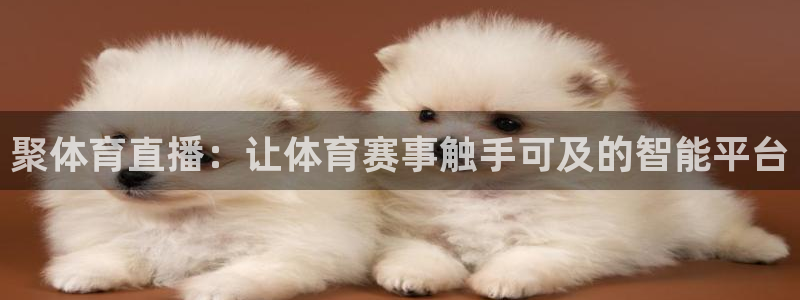 山猫nba体育直播：聚体育直播：让体育赛事触手可及的智能平台