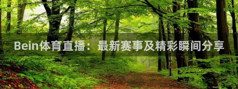 山猫足球免费直播：Bein体育直播：最新赛事及精彩瞬间分享