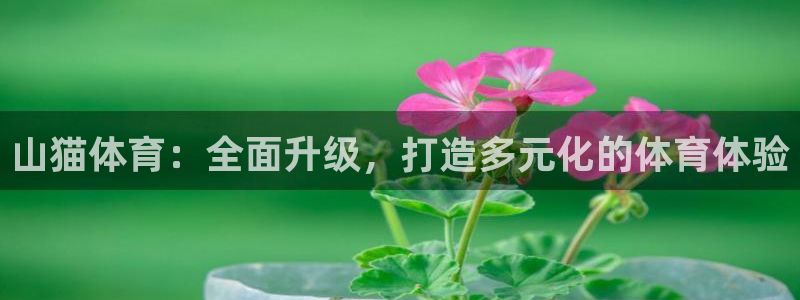 山猫 体育：山猫体育：全面升级，打造多元化的体育体验
