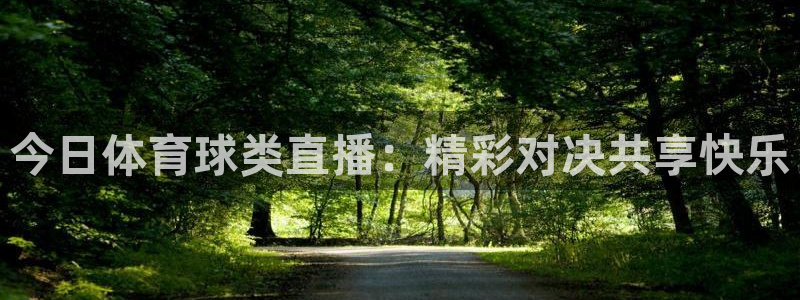 山猫直播体育赛事：今日体育球类直播：精彩对决共享快乐