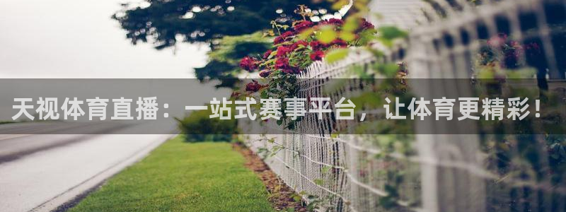 山猫足球直播免费：天视体育直播：一站式赛事平台，让体育更精彩！